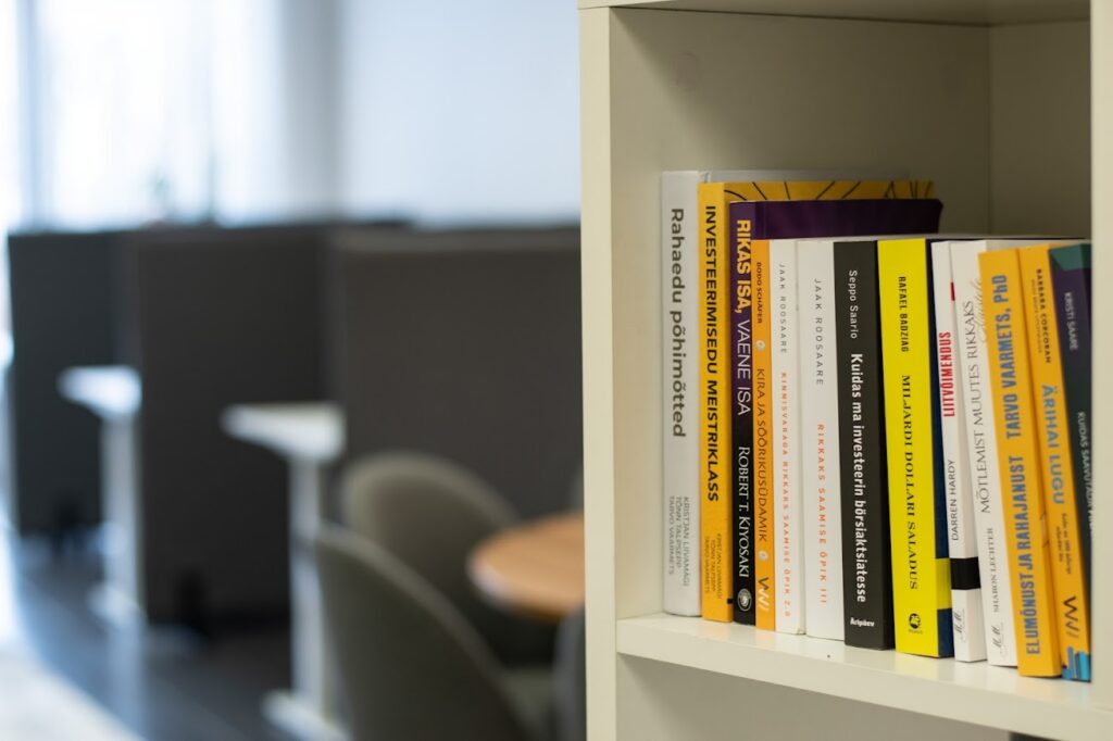 Ettevõtte E-Assets raamatupidamisteenus